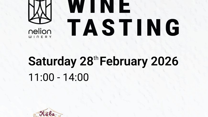 Wine Tasting – Nelion Winery